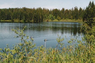 Etang de la Gruere