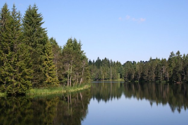 Etang de la Gruere